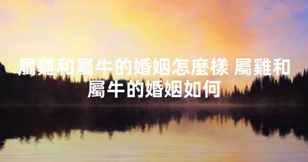 屬雞和屬牛的婚姻怎麼樣 屬雞和屬牛的婚姻如何